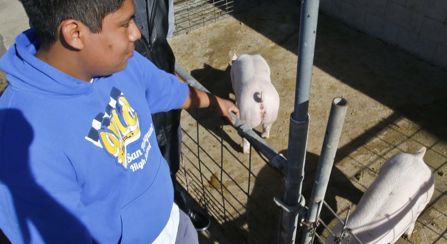 San Pasqual High School Students Pig Waste Project